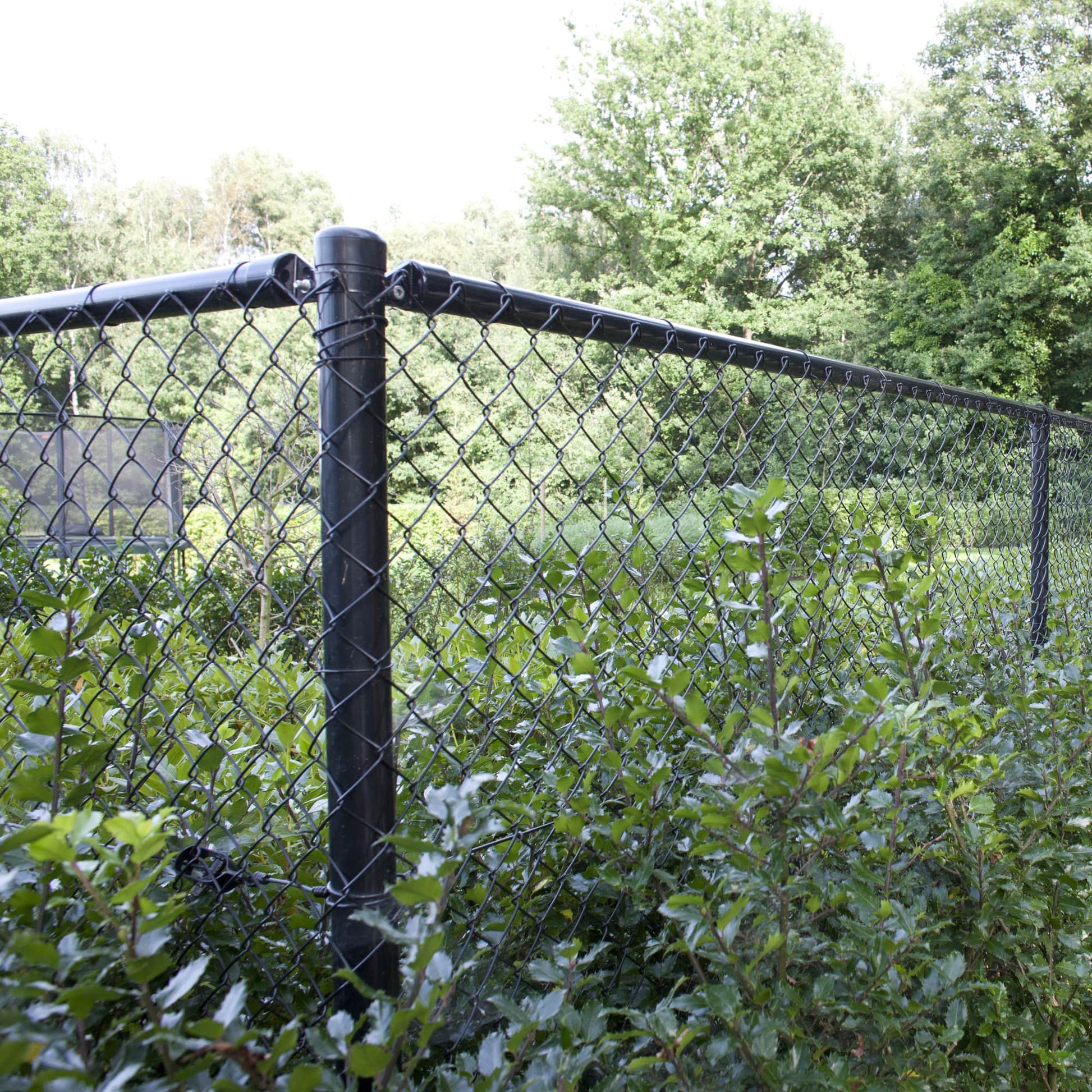 Betafence Plasitor zwart Harmonicagaas 1500mm x 25m