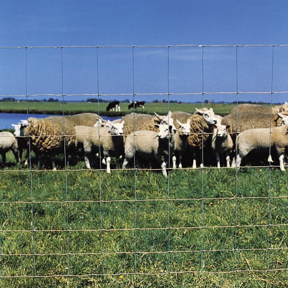 schapengaas Betafence Ursus Veld